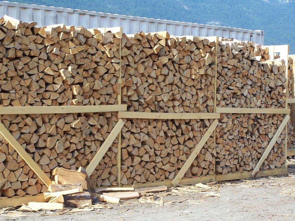 PHOTO-2025-11-04-17-51-52