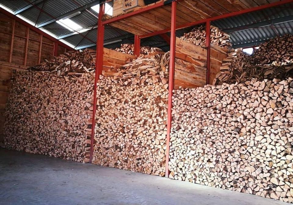 PHOTO-2025-11-04-17-51-56