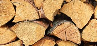 s-591313-819dea0f-b891-4a86-854e-d58d98010560